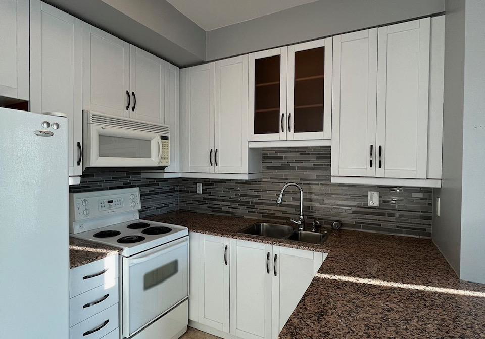 60-byng-avenue-north-york-ontario-c12766828