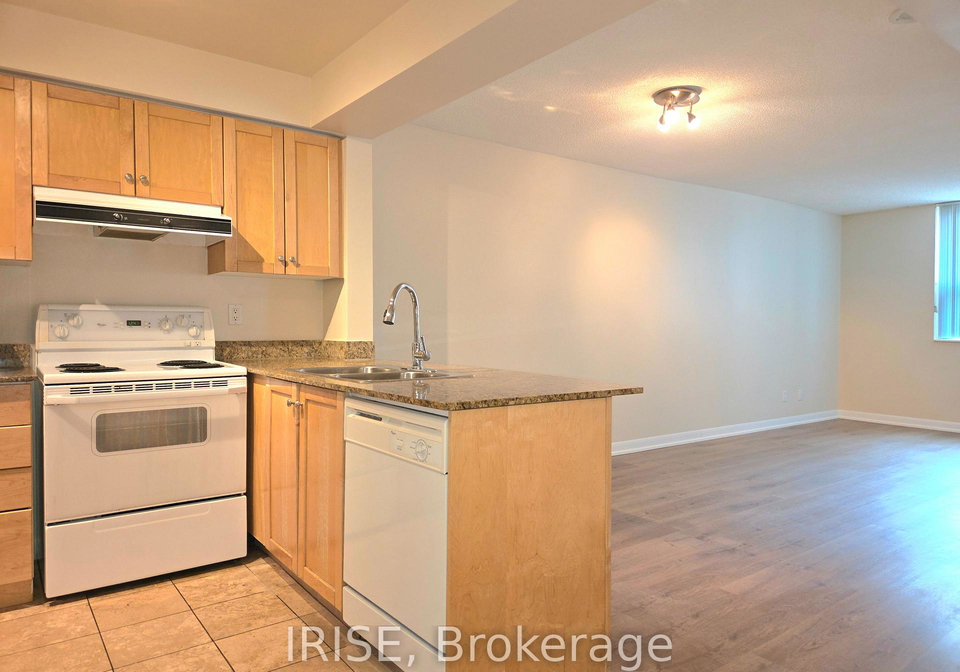 313-richmond-street-e-toronto-ontario-c12767988