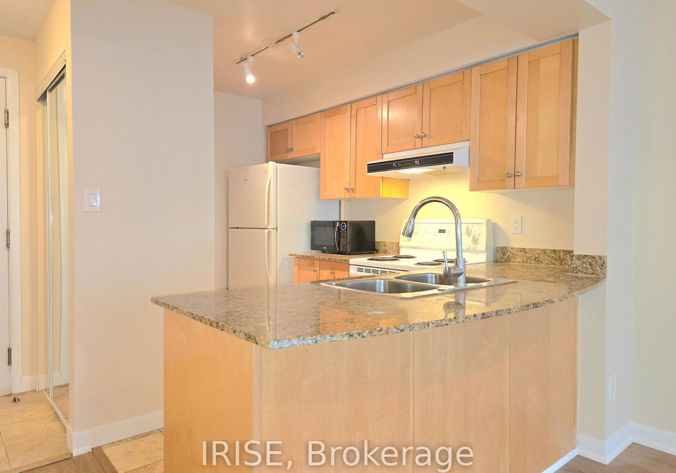 313-richmond-street-e-toronto-ontario-c12767988
