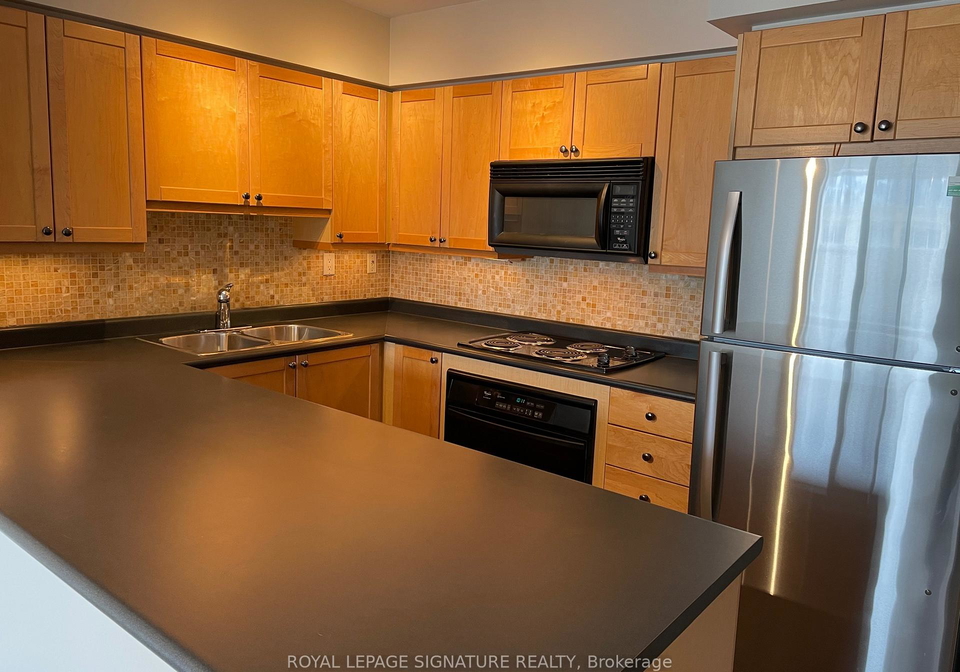 18-stafford-street-toronto-ontario-c12780086