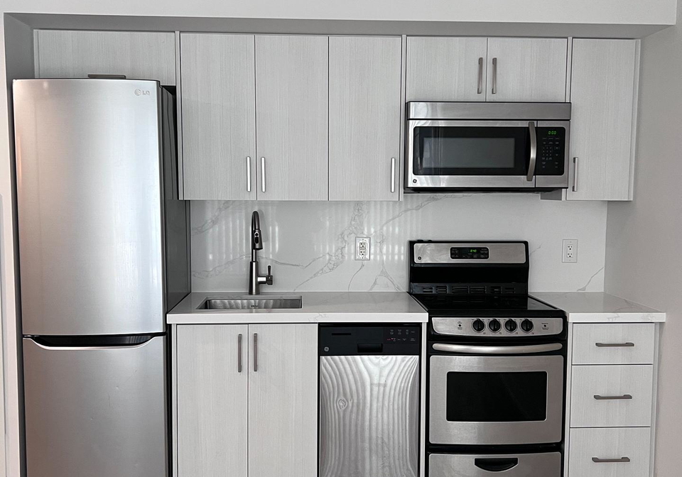 36-lisgar-street-toronto-ontario-c12781736