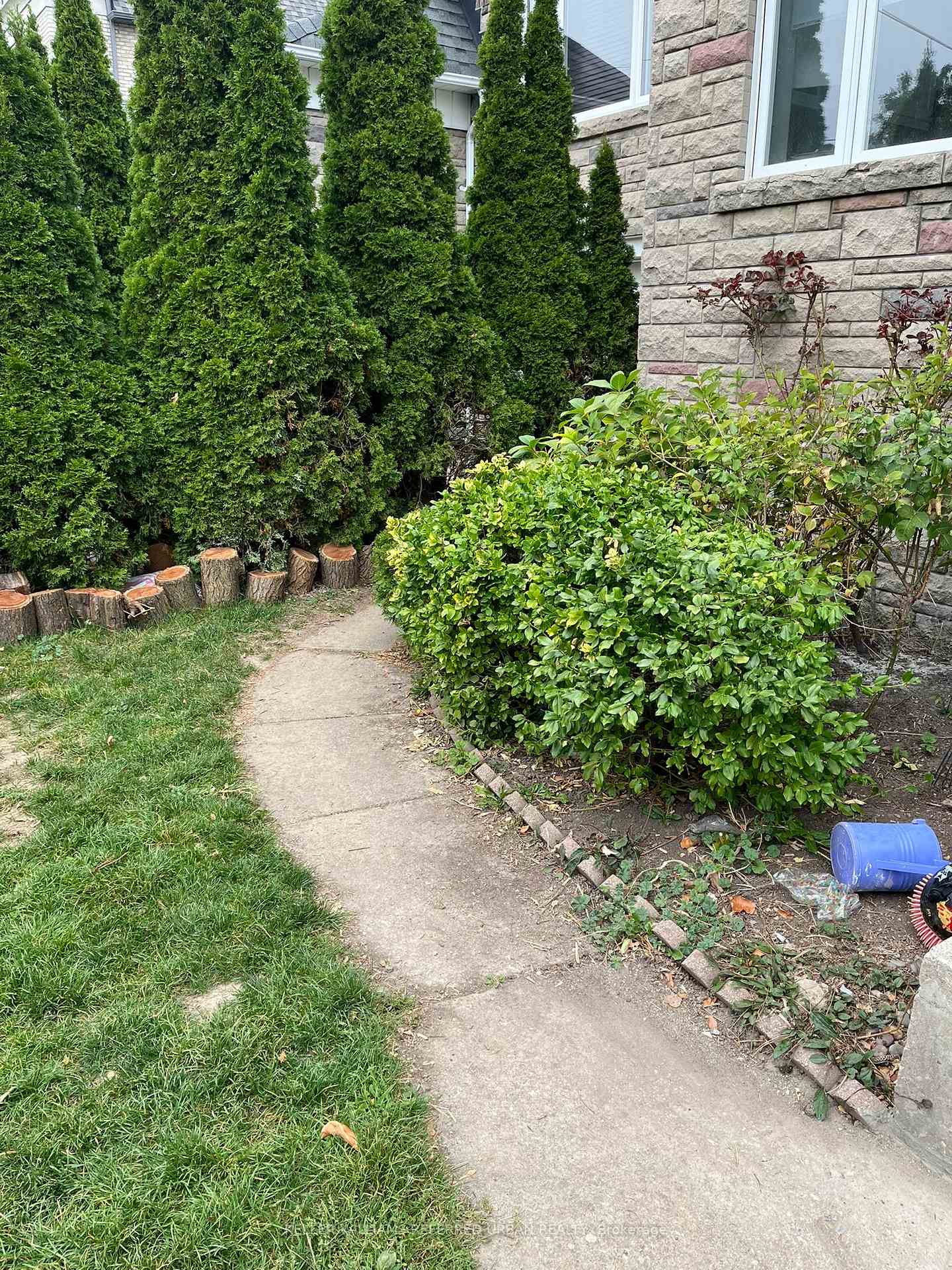 98-frontenac-avenue-toronto-ontario-c12782502