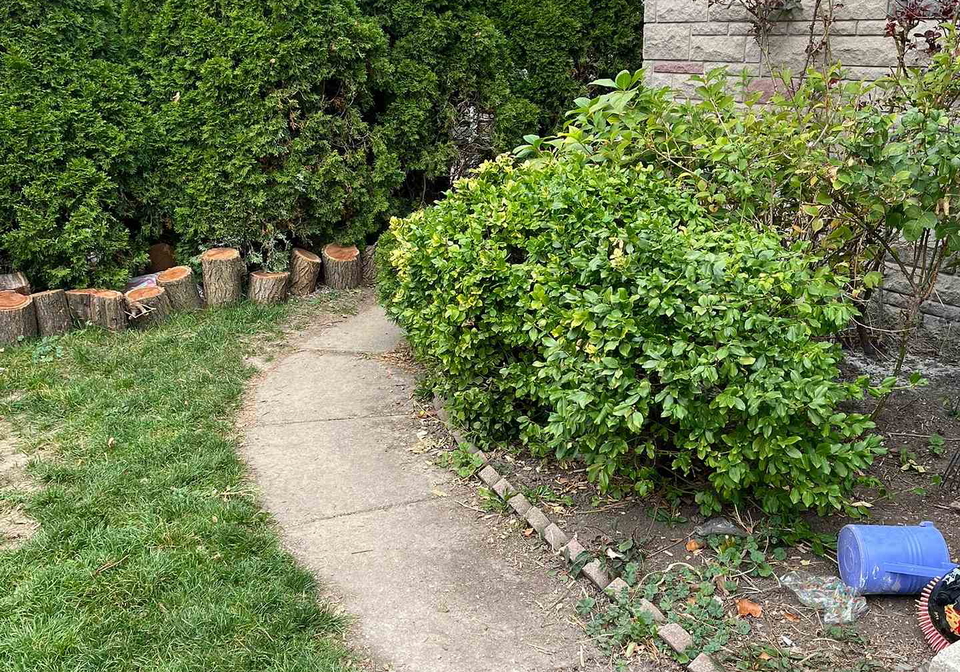 98-frontenac-avenue-toronto-ontario-c12782502
