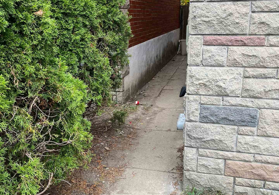 98-frontenac-avenue-toronto-ontario-c12782502
