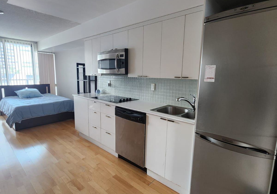 111-elizabeth-street-toronto-ontario-c12785700