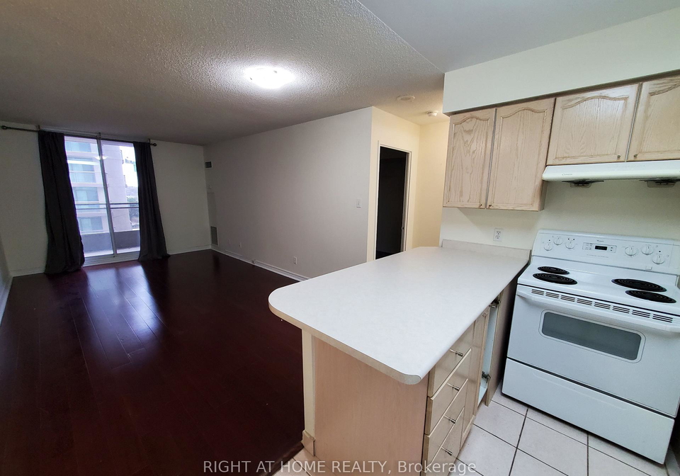 256-doris-avenue-north-york-ontario-c12785958