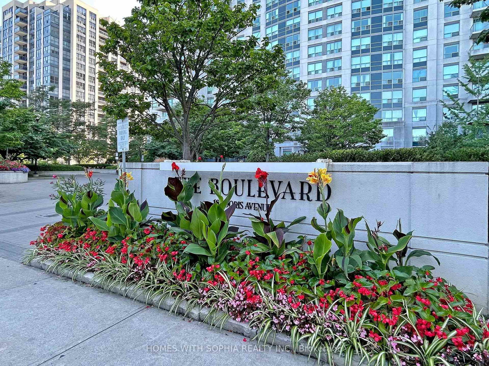 188-doris-avenue-north-york-ontario-c12802944