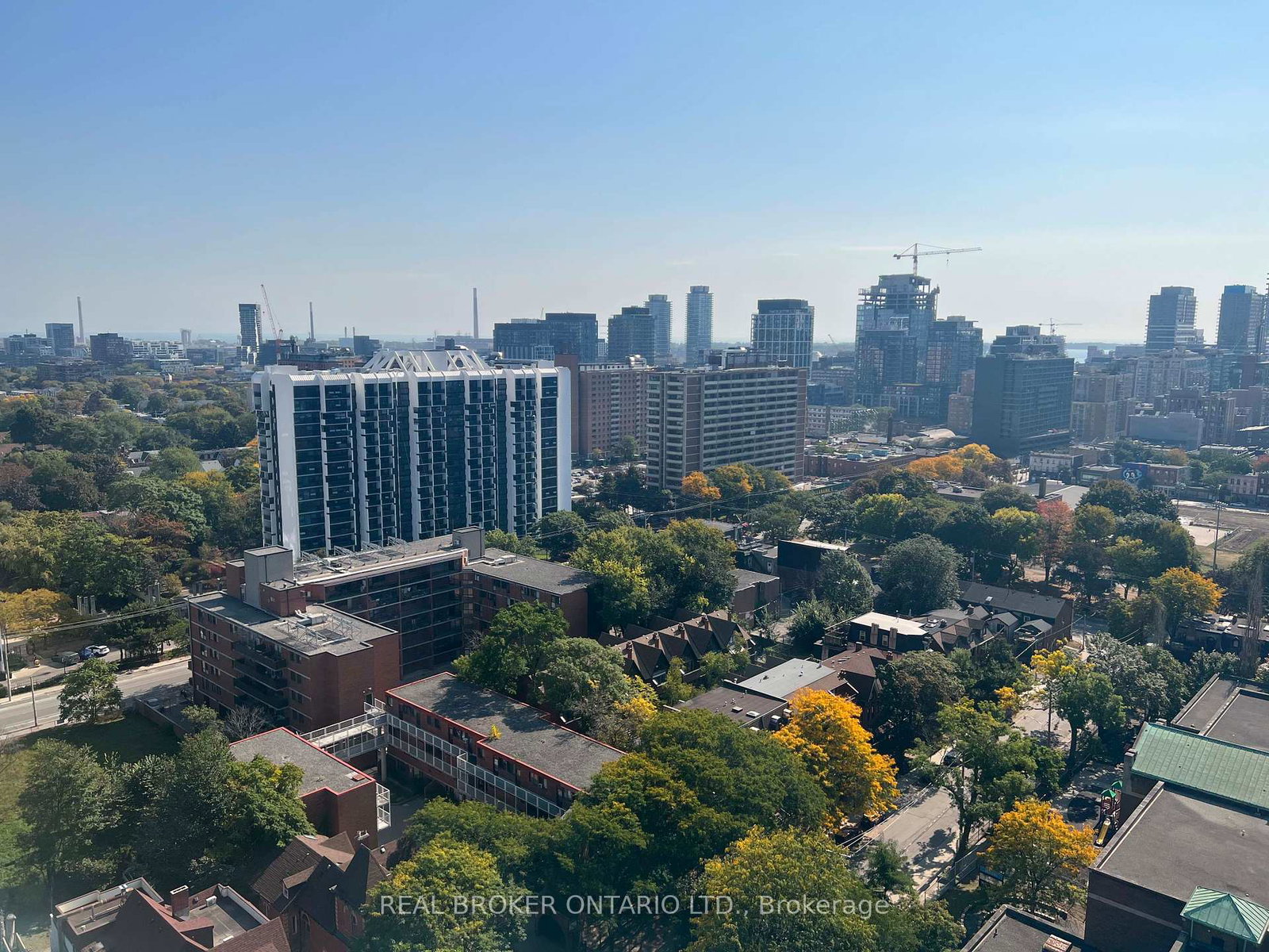 219-dundas-street-e-toronto-ontario-c12838592