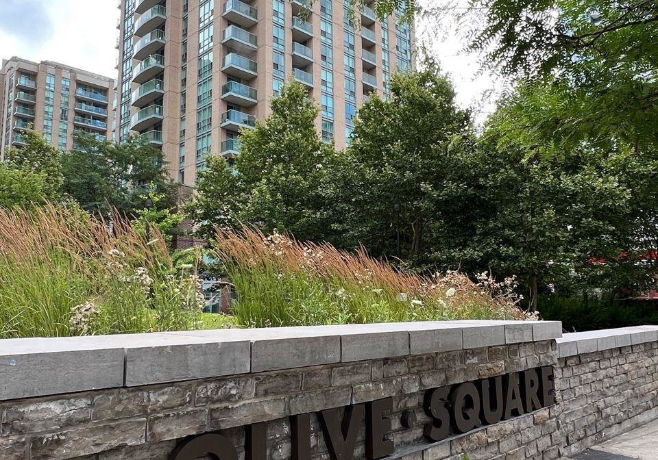 20-olive-avenue-north-york-ontario-c12856640
