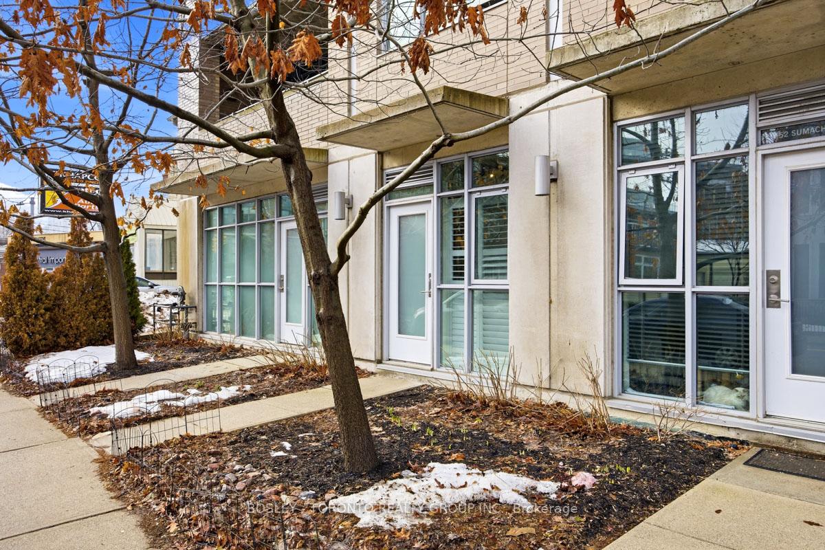 52-sumach-street-toronto-ontario-c12860544