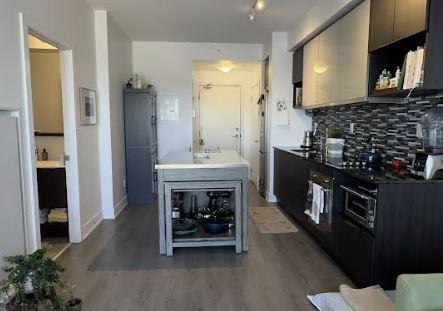 99-the-donway-road-w-north-york-ontario-c12864540