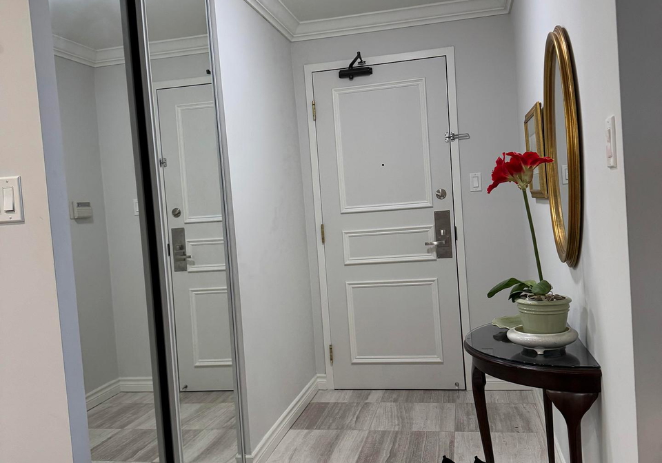 256-doris-avenue-north-york-ontario-c12866912