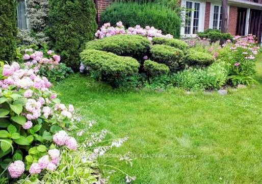 39-deerford-road-north-york-ontario-c12876664