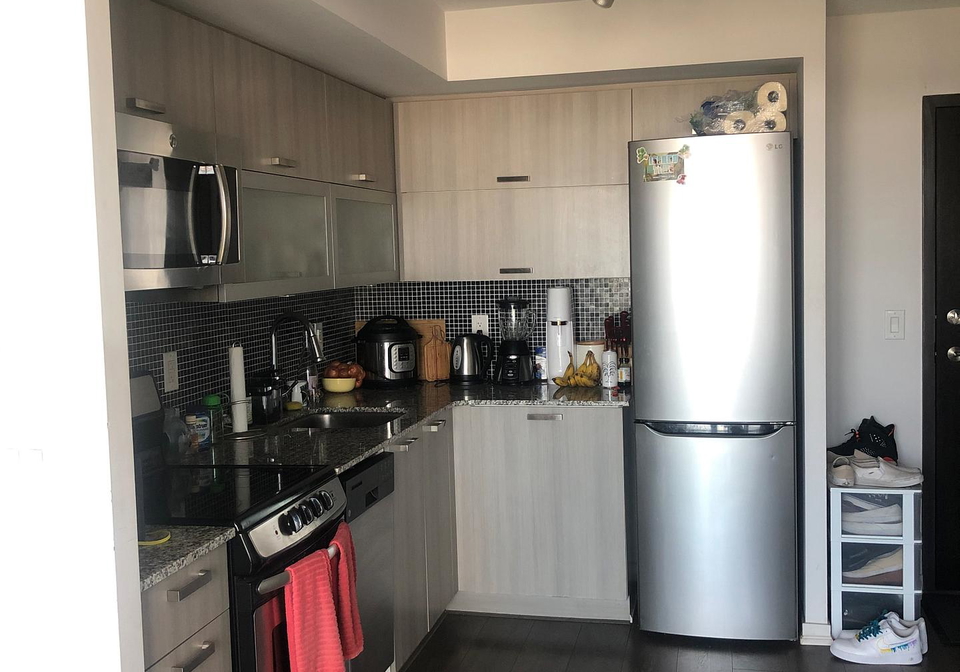 36-lisgar-street-toronto-ontario-c12893054