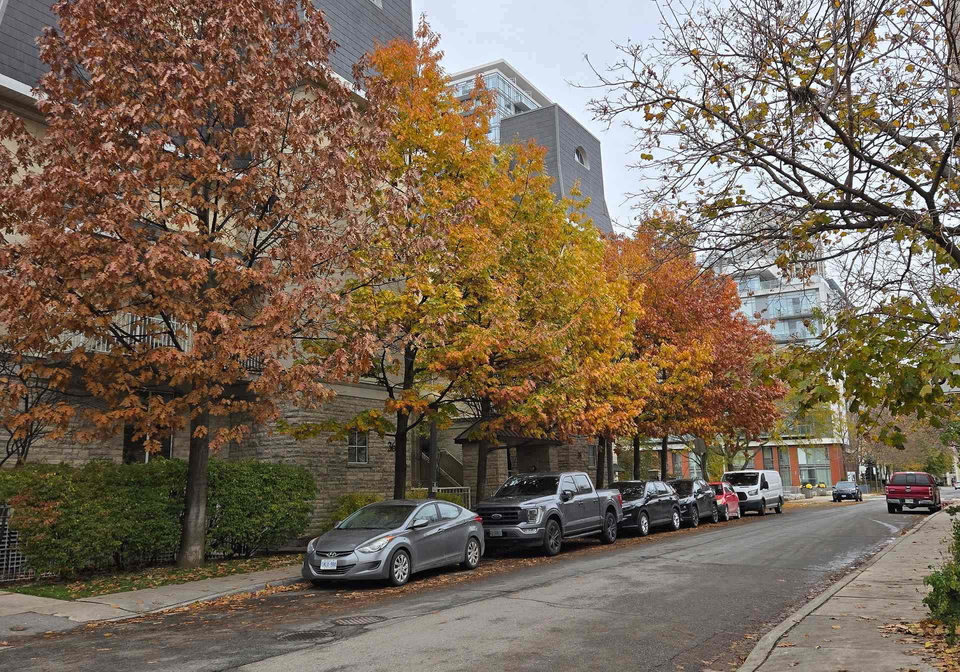 28-stadium-road-toronto-ontario-c12900754