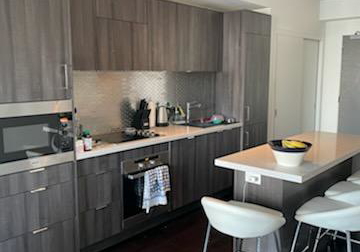 21-widmer-street-e-toronto-ontario-c12902682