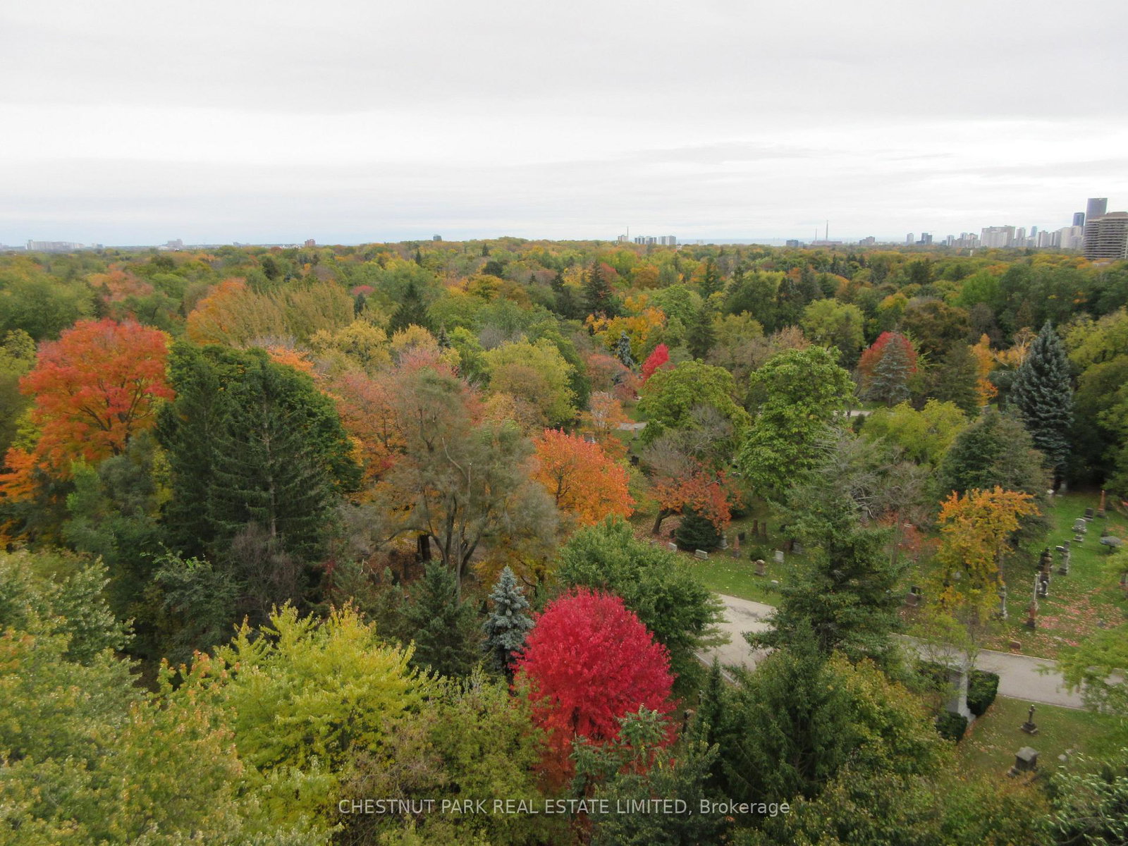 35-merton-street-toronto-ontario-c12903842