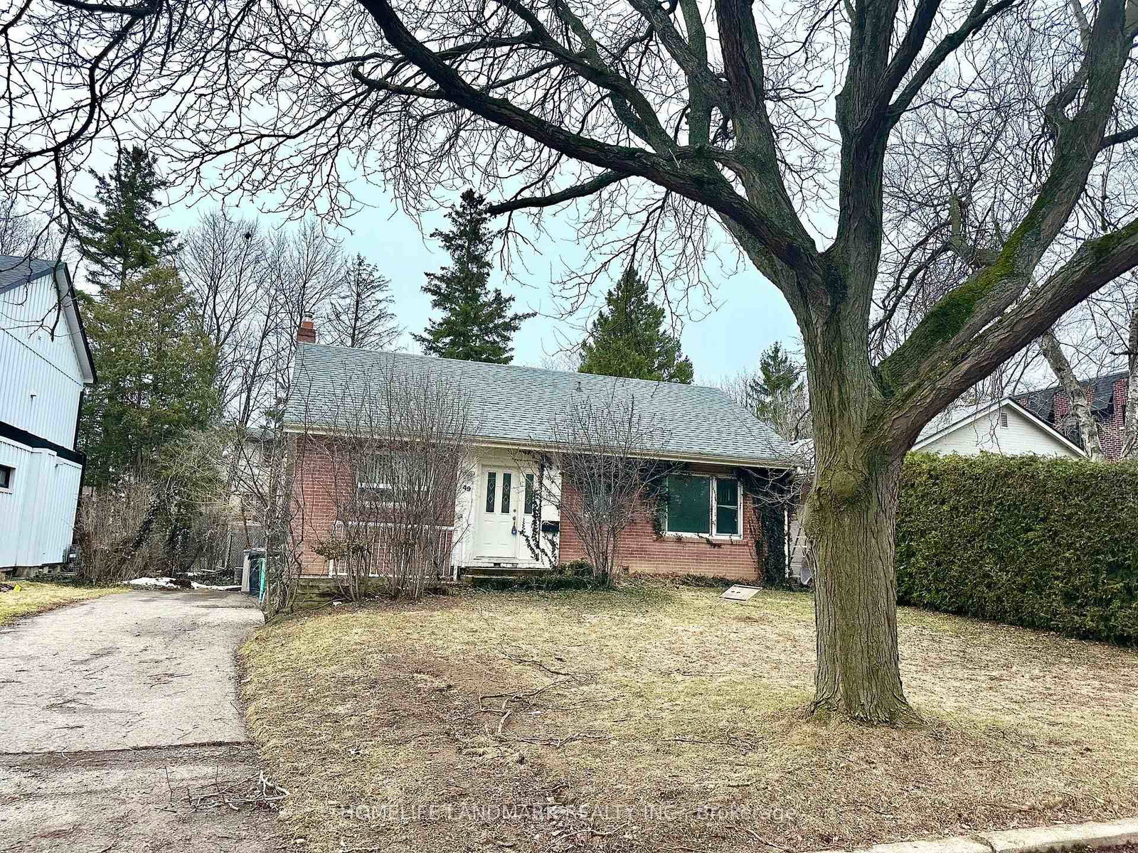 49-addison-crescent-north-york-ontario-c12907416