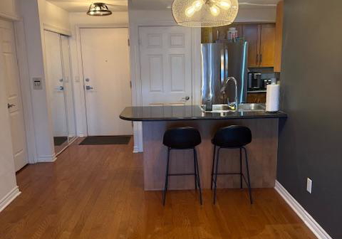 250-wellington-street-w-toronto-ontario-c12918554