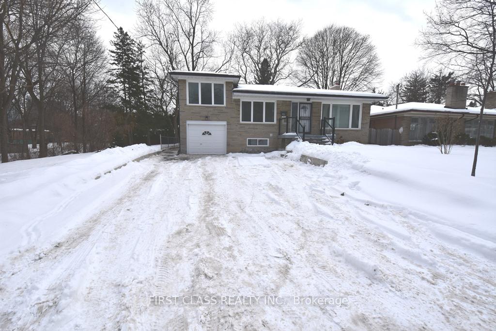 113-holcolm-road-toronto-ontario-c12918996
