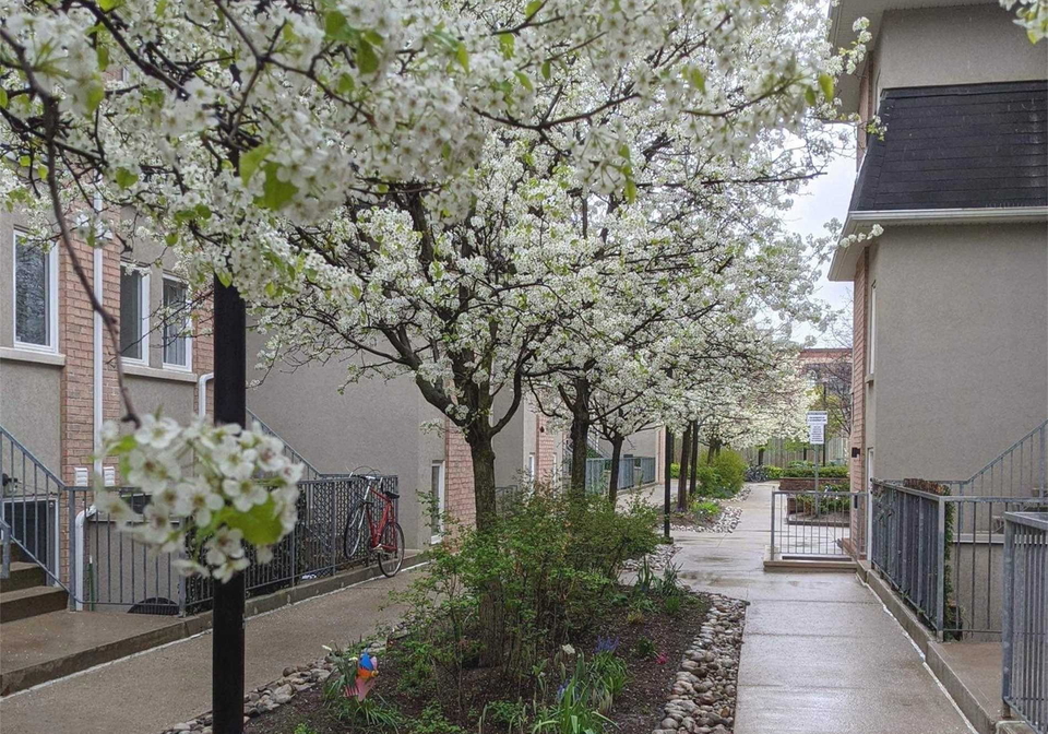 30-merchant-lane-toronto-ontario-c12920252