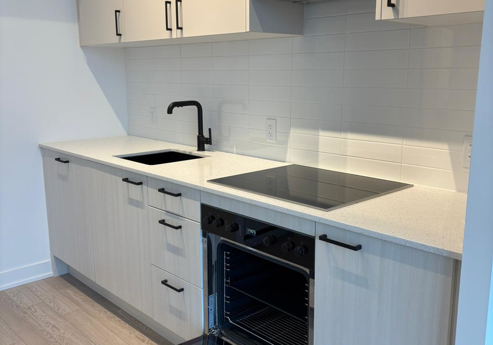 1-quarrington-lane-north-york-ontario-c12928304