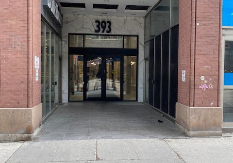 393-king-st-w-toronto-ontario-c12935134