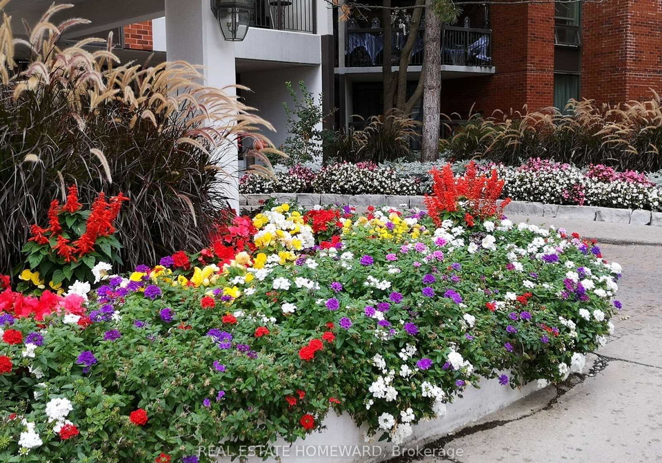 77-maitland-place-toronto-ontario-c12950488