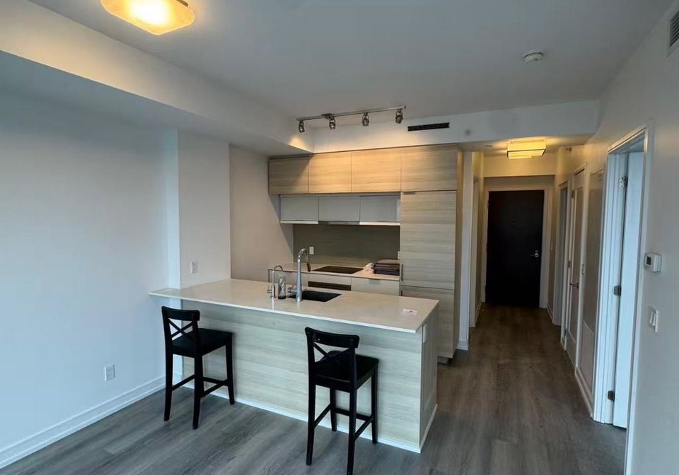 88-scott-street-toronto-ontario-c12959348