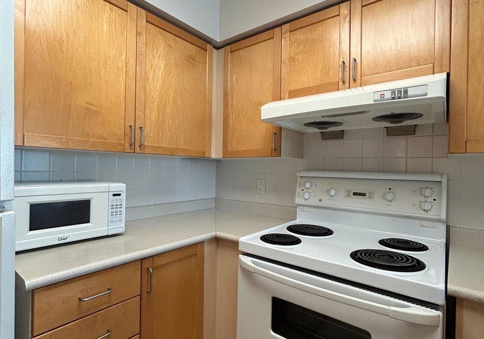 33-empress-avenue-north-york-ontario-c12959934