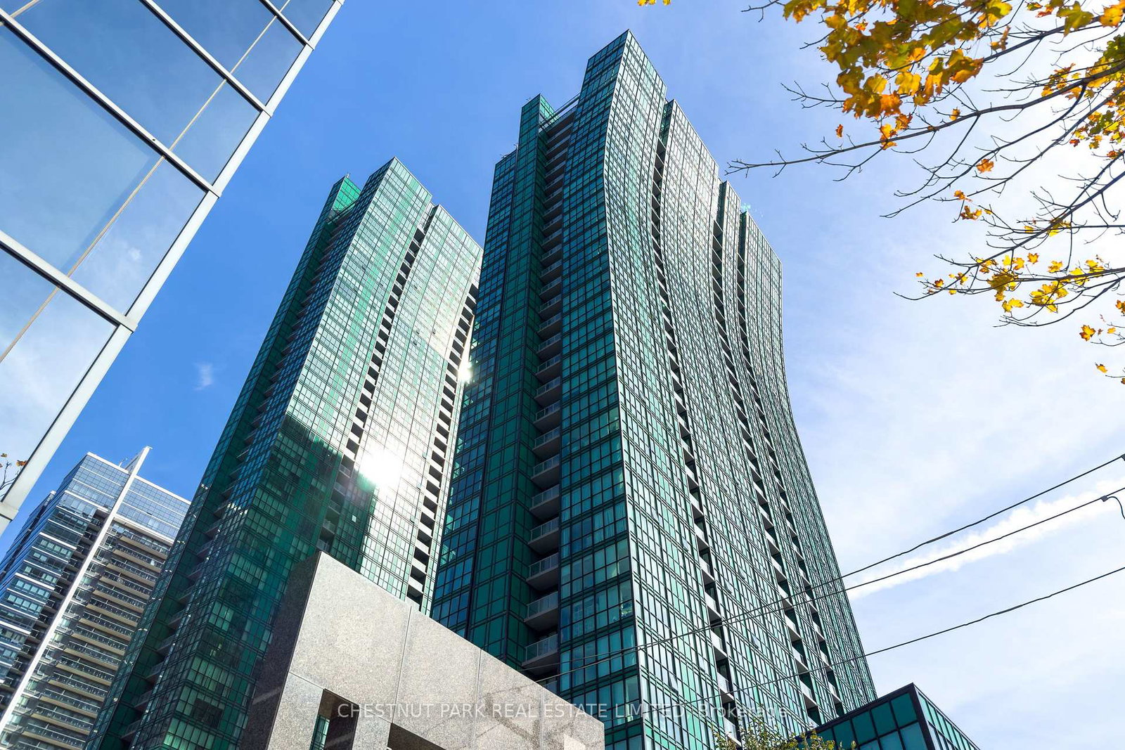 11-bogert-avenue-toronto-ontario-c12963880