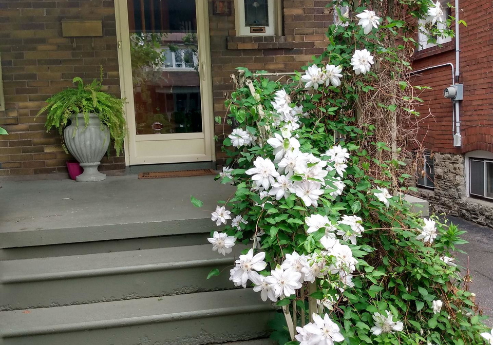 14-crang-avenue-toronto-ontario-c12964080