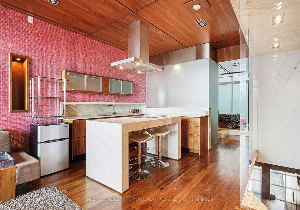 388-richmond-street-w-toronto-ontario-c12966898