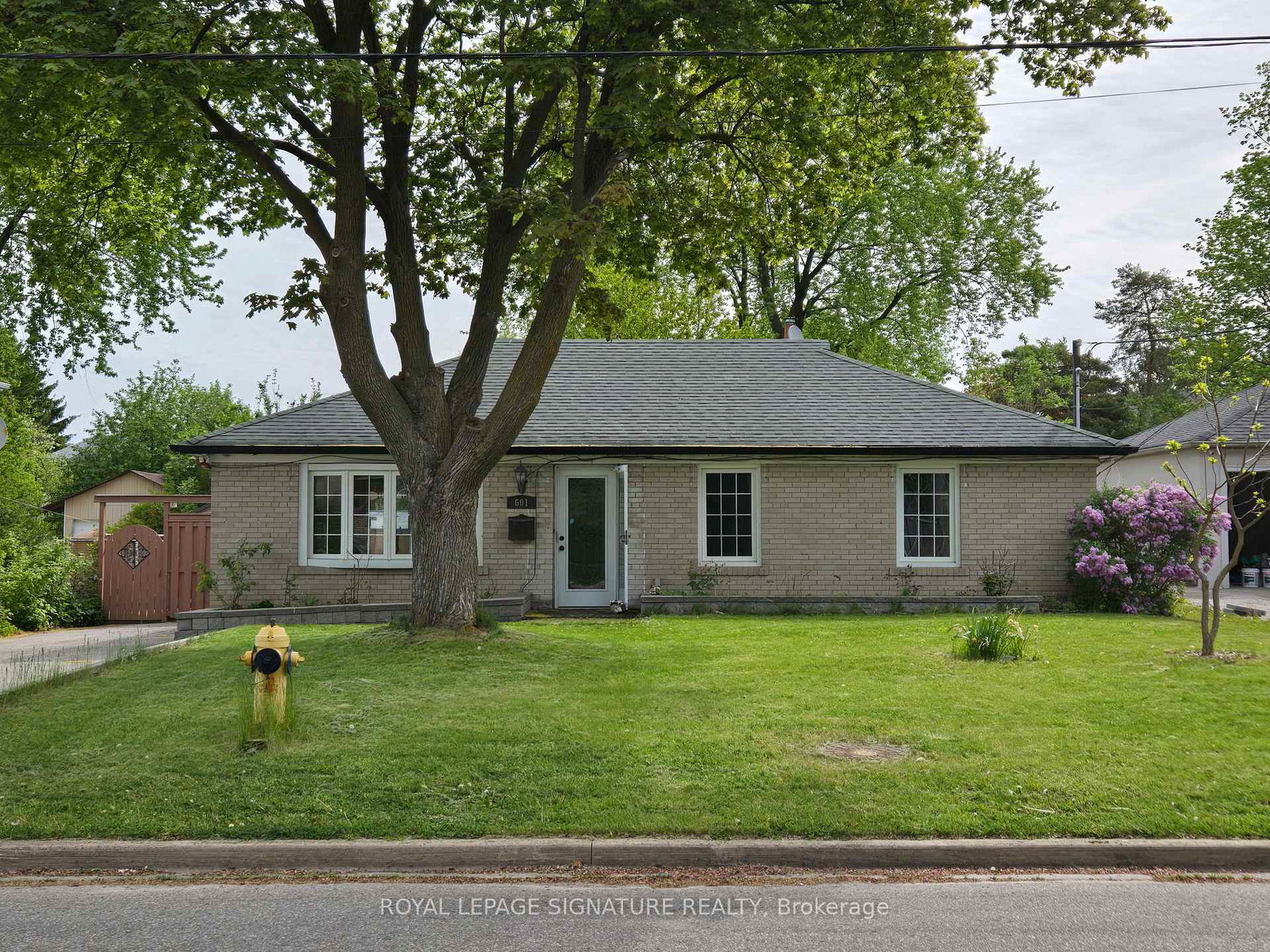 601-conacher-drive-north-york-ontario-c12967214