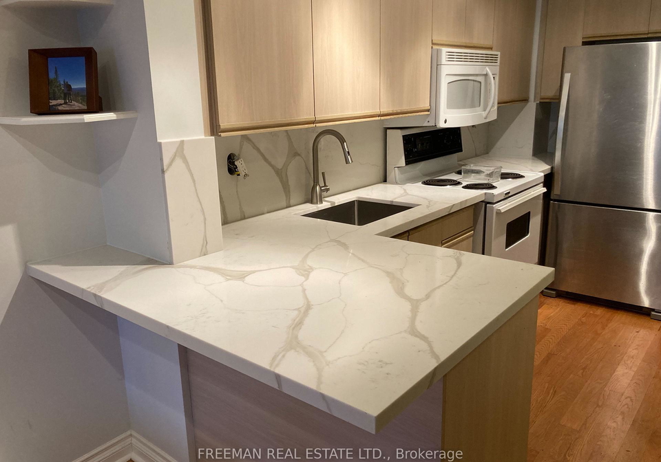 217-st-george-street-toronto-ontario-c12983156