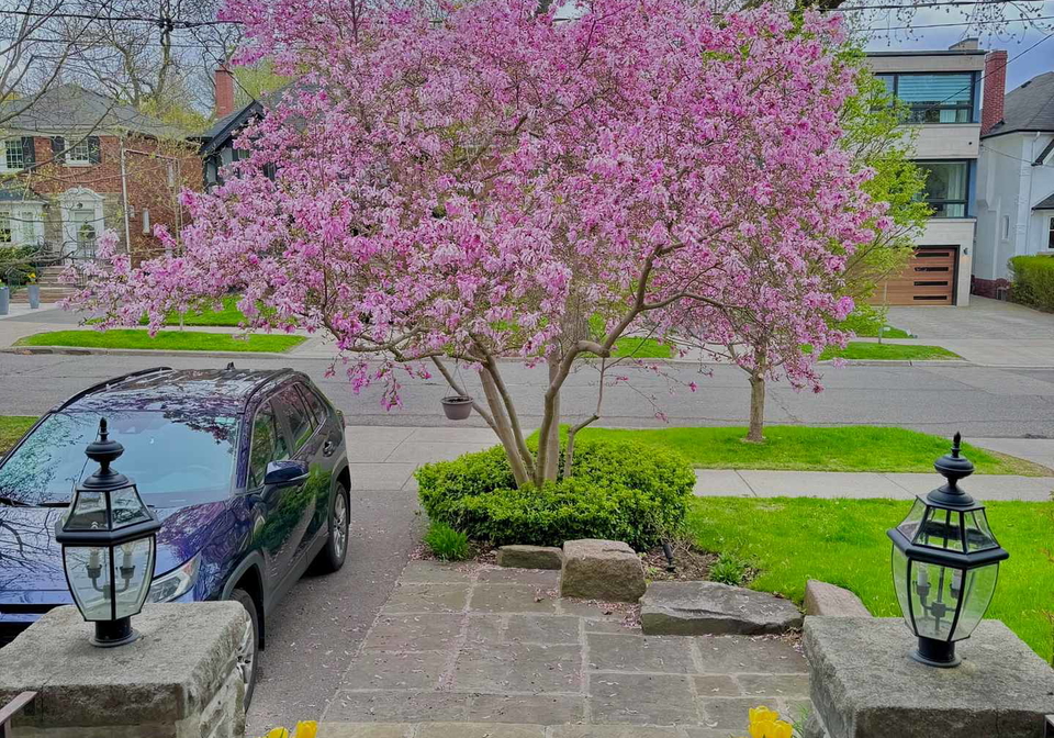 520-briar-hill-avenue-toronto-ontario-c12986640