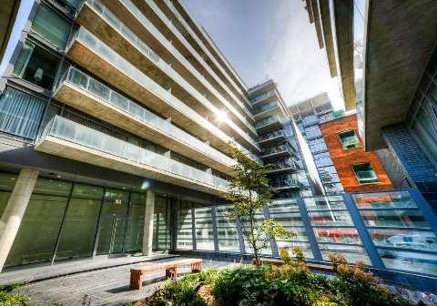 650-king-street-w-toronto-ontario-c12986838