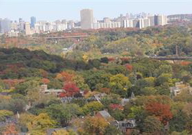 28-ted-rogers-way-toronto-ontario-c12989786