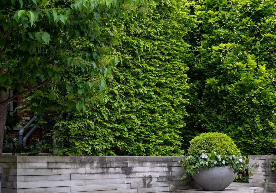 12-macpherson-avenue-toronto-ontario-c12992396