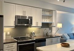 525-adelaide-street-w-toronto-ontario-c13017282