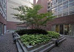 11-st-joseph-street-toronto-ontario-c13021904