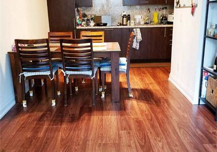 5-sheppard-avenue-e-north-york-ontario-c13032580