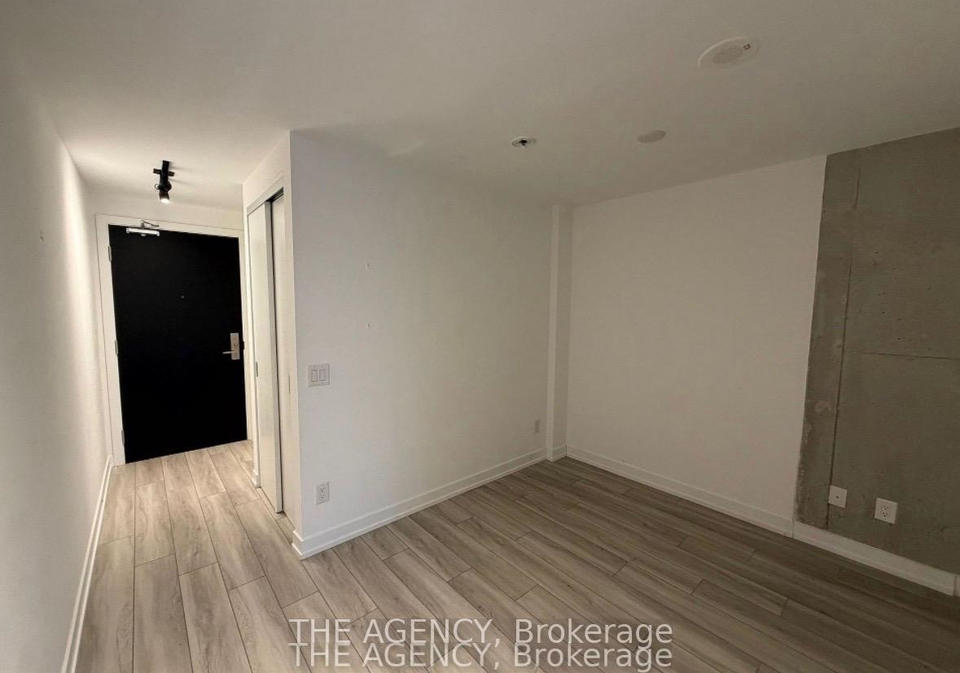 458-richmond-street-w-toronto-ontario-c13059382