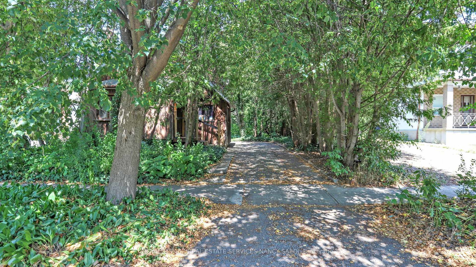 92-horsham-avenue-toronto-ontario-c13072422