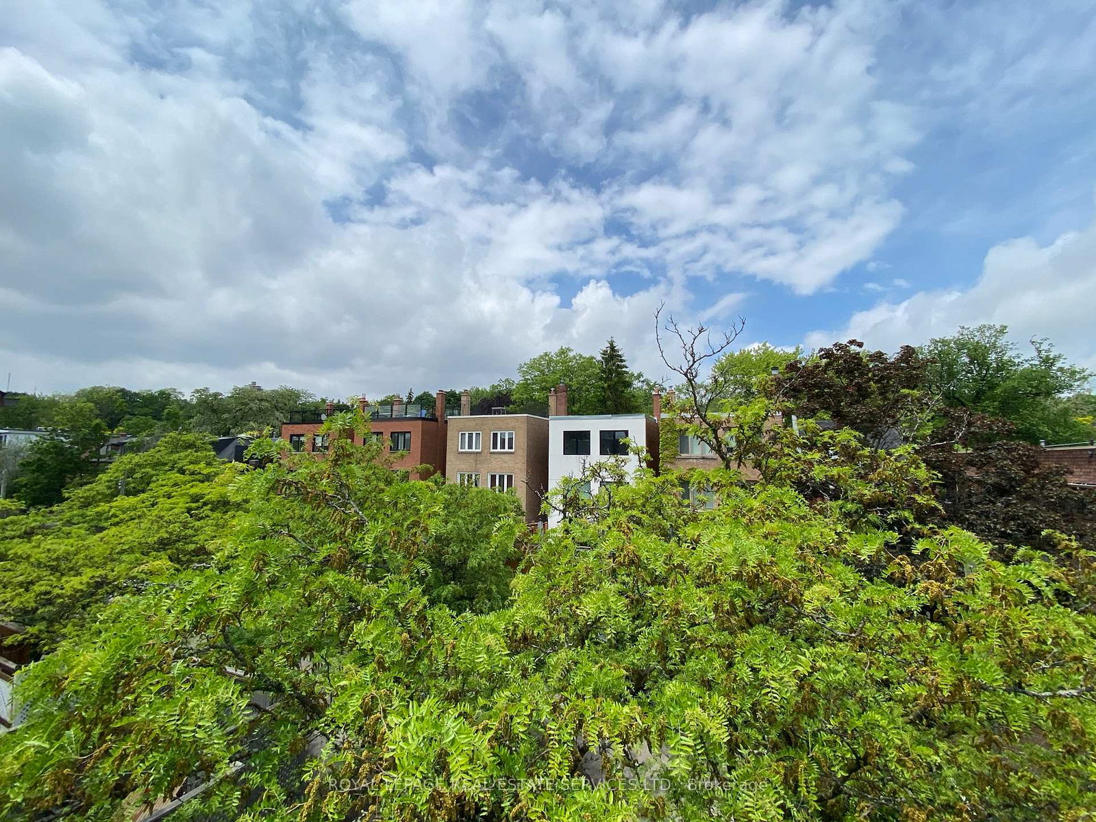 66-alcorn-avenue-toronto-ontario-c13075468