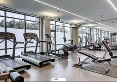 56-forest-manor-road-north-york-ontario-c13076500