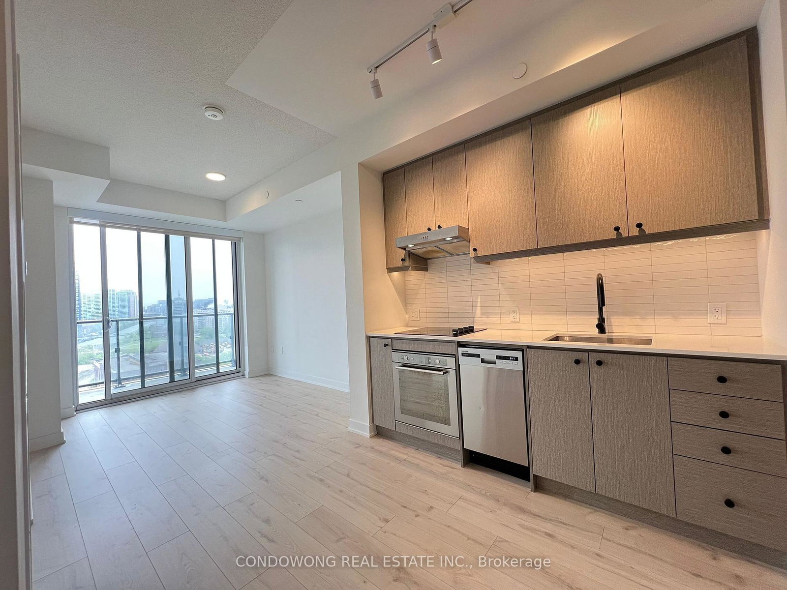 9-tecumseth-street-toronto-ontario-c13093098