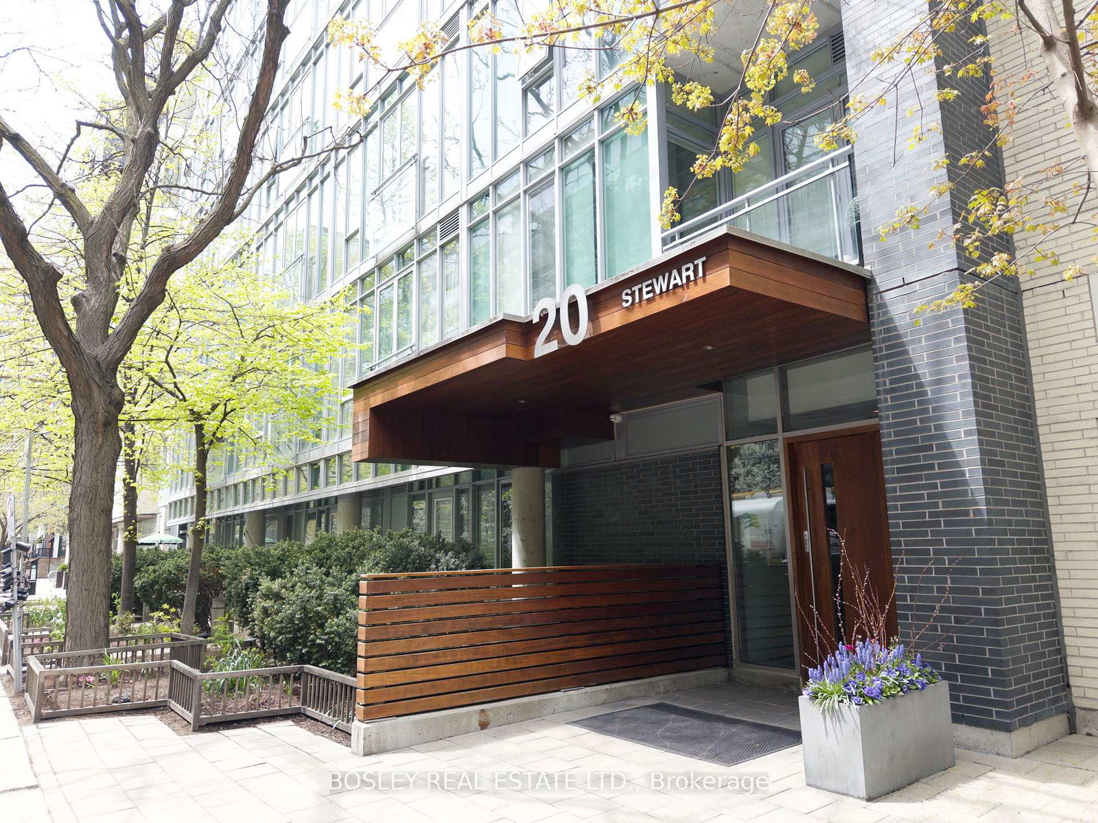 20-stewart-street-toronto-ontario-c13105162