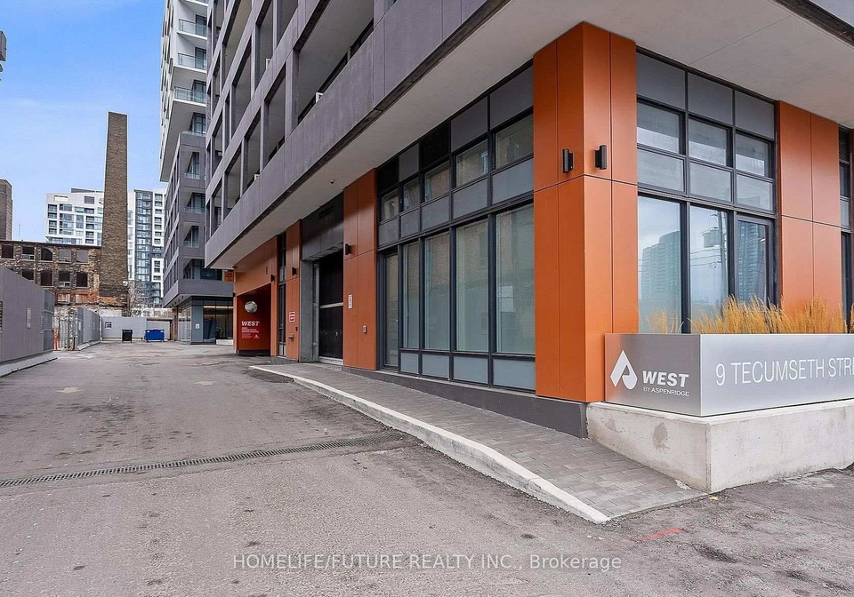 9-tecumseth-street-toronto-ontario-c13112082