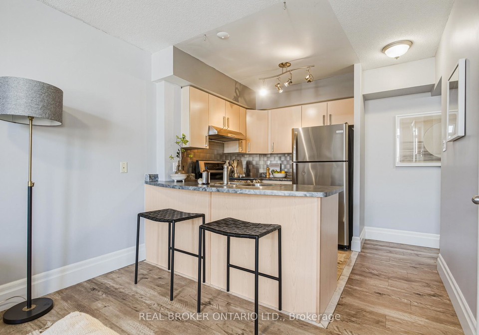31-sudbury-street-toronto-ontario-c13113208